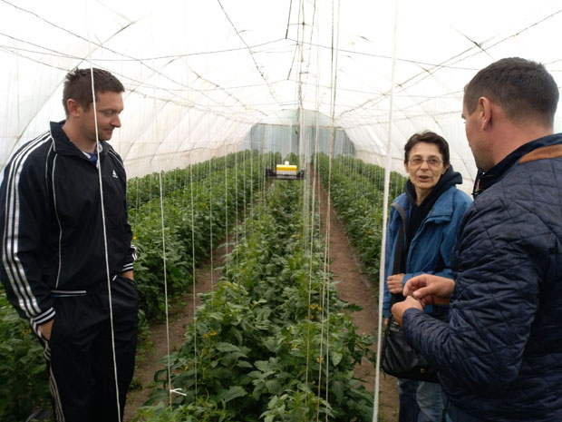 Пластеници и њива милији од канцеларије